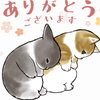 きゃりんさんのプロフィール画像