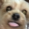 ぬまさんさんのプロフィール画像