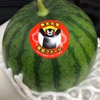 きょんさんのプロフィール画像