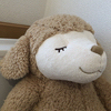 maiさんのプロフィール画像