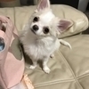 理子ママさんのプロフィール画像