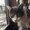 もささんのプロフィール画像