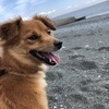 ませさんのプロフィール画像