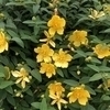 Tさんのプロフィール画像