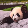 ビビさんのプロフィール画像