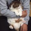 R sakuさんのプロフィール画像