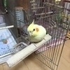 てるおさんのプロフィール画像