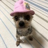 みーさんのプロフィール画像