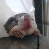 かなさんのプロフィール画像