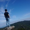 シンシンさんのプロフィール画像