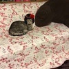 うさびっちさんのプロフィール画像
