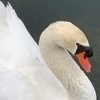 こうめっこさんのプロフィール画像