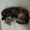 まきてぃさんのプロフィール画像