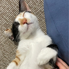 yamaさんのプロフィール画像