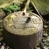 revasacyさんのプロフィール画像