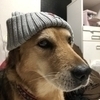 りりさんのプロフィール画像