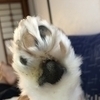 ジュニアさんのプロフィール画像