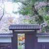 しろねこ