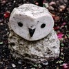 森晶さんのプロフィール画像