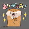 Ranさんのプロフィール画像