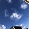 Miiさんのプロフィール画像