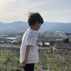 ヒカリオウさんのプロフィール画像