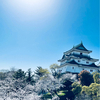 ぷろってぃ太郎さんのプロフィール画像