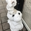 こみさんのプロフィール画像