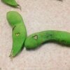 せいらさんのプロフィール画像