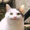 ももさんのプロフィール画像