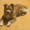 マコさんのプロフィール画像
