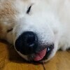 ジョン コナさんのプロフィール画像
