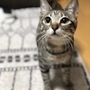 タクローさんのプロフィール画像