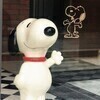 ヤックルさんのプロフィール画像