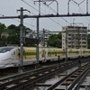 つばめ3号さんのプロフィール画像