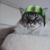natee☆さんのプロフィール画像