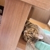 299さんのプロフィール画像