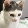 草ちゃんさんのプロフィール画像