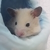 ミトさんのプロフィール画像