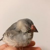 Kaorunさんのプロフィール画像