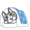 現場猫