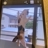 ゆゆゆさんのプロフィール画像