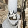 royalsさんのプロフィール画像
