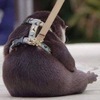 シホさんのプロフィール画像