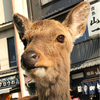 Yasuさんのプロフィール画像