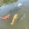 ばにーさんのプロフィール画像