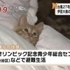 ジュンさんのプロフィール画像