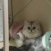 海さんのプロフィール画像