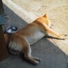 やままさんのプロフィール画像