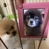 ひじきさんのプロフィール画像